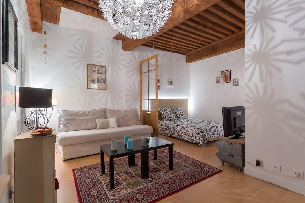 Appartement Le 27 L à Lyon Extérieur photo